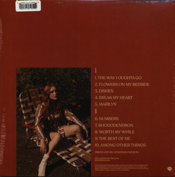 Among Other Things (LP, colored Vinyl, Ltd.)