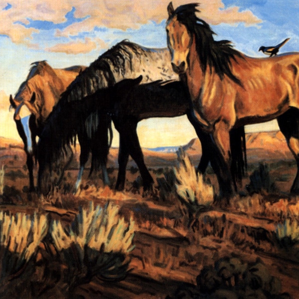 Songs From The Gravel Road