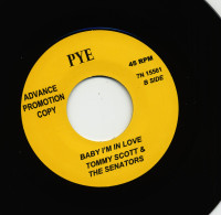 Vorschau: My Colour Is Blue - Baby I'm In Love (7inch, 45rpm) Vorschau: My Colour Is Blue - Baby I'm In Love (7inch, 45rpm)