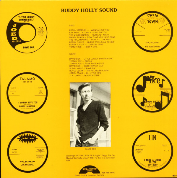 Buddy Holly Sound (LP)