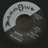 Vorschau: Reesie - Nobody's Guy (7inch, 45rpm) Vorschau: Reesie - Nobody's Guy (7inch, 45rpm)