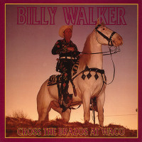 Vorschau: Cross The Brazos At Waco (6-CD Deluxe Box Set) Vorschau: Cross The Brazos At Waco (6-CD Deluxe Box Set)