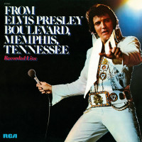 Vorschau: From Elvis Presley Boulevard, Memphis, Tennessee (LP, 180g colored Vinyl, Ltd.) Vorschau: From Elvis Presley Boulevard, Memphis, Tennessee (LP, 180g colored Vinyl, Ltd.)