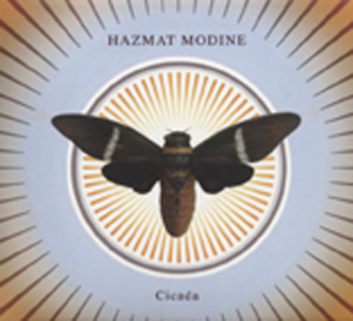 Cicada Cicada