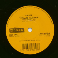 Vorschau: Teenager Rampage - Hell Raiser (7inch, 45rpm, SC) Vorschau: Teenager Rampage - Hell Raiser (7inch, 45rpm, SC)