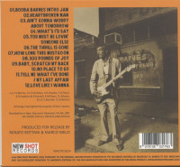 Vorschau: Raw Unpolluted Blues (CD) Vorschau: Raw Unpolluted Blues (CD)