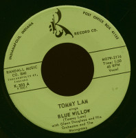 Vorschau: Blue Willow - Teenagers Dream (7inch, 45rpm) Vorschau: Blue Willow - Teenagers Dream (7inch, 45rpm)