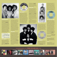 Vorschau: Hearts For Sale - Girl Group Sounds USA 1961-1967 (LP) Vorschau: Hearts For Sale - Girl Group Sounds USA 1961-1967 (LP)