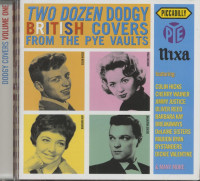 Bild von Various: Two Dozen Dodgy Covers From The Pye Vaults (CD)