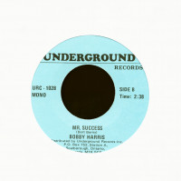 Vorschau: The Joker Went Wild - Mr. Success(7inch, 45rpm) Vorschau: The Joker Went Wild - Mr. Success(7inch, 45rpm)