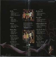 Vorschau: Manzanita (LP) Vorschau: Manzanita (LP)