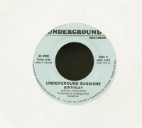 Vorschau: Birthday - If The Boy Only Knew (7inch, 45rpm) Vorschau: Birthday - If The Boy Only Knew (7inch, 45rpm)