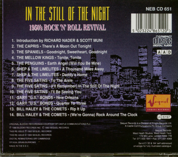 In The Still Of The Night - 1950's Rock'n'Roll Revival (CD)