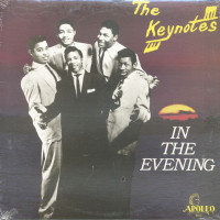 Vorschau: In The Evening (LP) Vorschau: In The Evening (LP)
