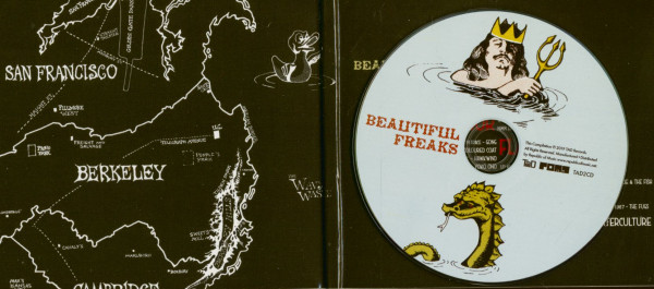 Beautiful Freaks - Waving Our Flags High - When Music Was The Counterculture (CD)