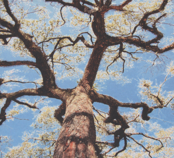 A Storm - A Tree - My Mother's Head (CD) A Storm - A Tree - My Mother's Head (CD)