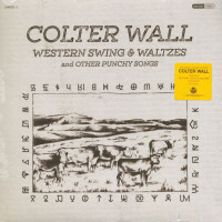 Vorschau: Western Swing & Waltzes And Other Punchy Songs (LP) Vorschau: Western Swing & Waltzes And Other Punchy Songs (LP)
