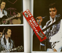 Vorschau: Elvis Ten Years After by Anne E Nixon (Gebundene Ausgabe) Vorschau: Elvis Ten Years After by Anne E Nixon (Gebundene Ausgabe)