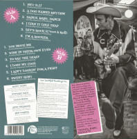 Vorschau: Hey DJ! ... it's Rusti Steel & The Star Tones (LP) Vorschau: Hey DJ! ... it's Rusti Steel & The Star Tones (LP)