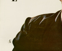 Vorschau: Ritchie (LP) Vorschau: Ritchie (LP)