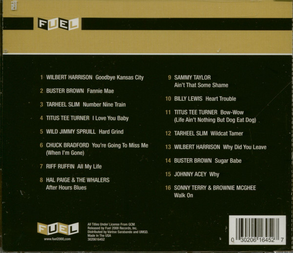 An Introduction To New York Blues (CD)