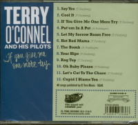 Vorschau: If You Give Me One More Try (CD) Vorschau: If You Give Me One More Try (CD)