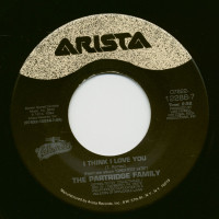 Vorschau: I Think I Love You - Doesn't Somebody Want To Be Wanted (7inch, 45rpm) Vorschau: I Think I Love You - Doesn't Somebody Want To Be Wanted (7inch, 45rpm)