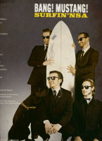 Vorschau: Surfin' NSA (LP) Vorschau: Surfin' NSA (LP)