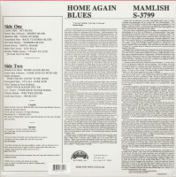 Vorschau: Home Again Blues (LP) Vorschau: Home Again Blues (LP)