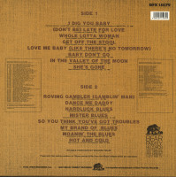 Vorschau: Rockin' Rollin' Rainwater (LP) Vorschau: Rockin' Rollin' Rainwater (LP)