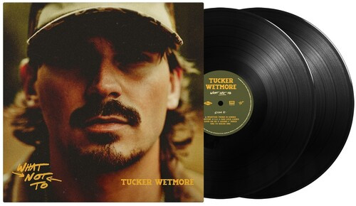 What Not To (2-LP)