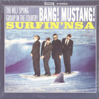 Vorschau: Surfin' NSA (LP) Vorschau: Surfin' NSA (LP)
