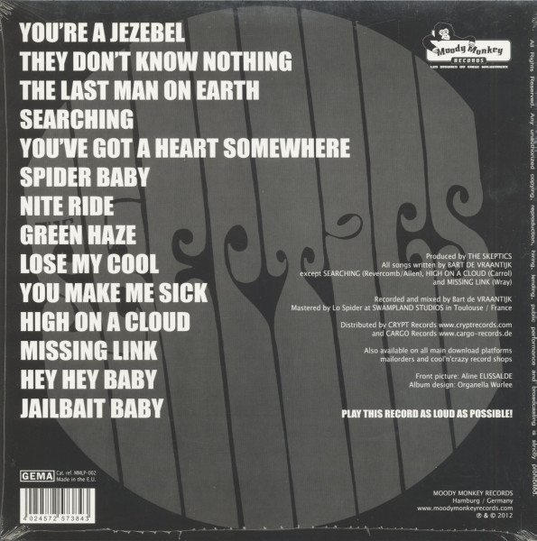 File Under Fuzz Punk (LP)