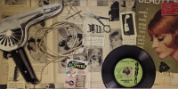 Vorschau: Basement Beehive - The Girl Group Underground (2-LP) Vorschau: Basement Beehive - The Girl Group Underground (2-LP)
