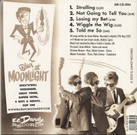 Vorschau: Wiggle The Wig (CD) Vorschau: Wiggle The Wig (CD)