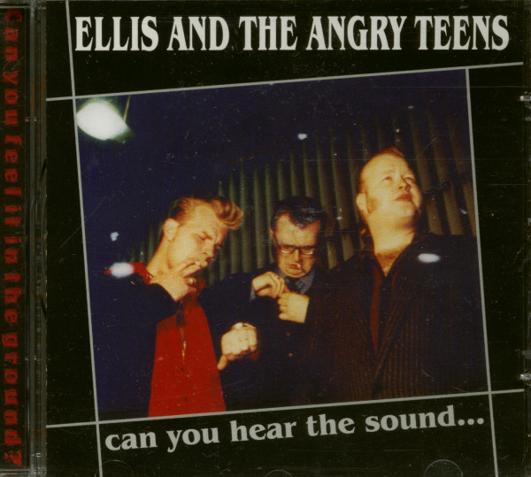 Can You Hear The Sound (CD) Can You Hear The Sound (CD)
