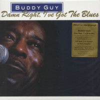 Vorschau: Damn Right, I've Got The Blues (LP, 180g Vinyl) Vorschau: Damn Right, I've Got The Blues (LP, 180g Vinyl)