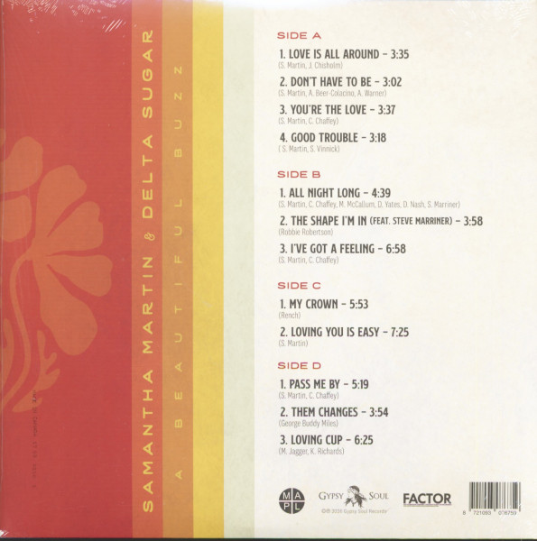 A Beautiful Buzz (2-LP)