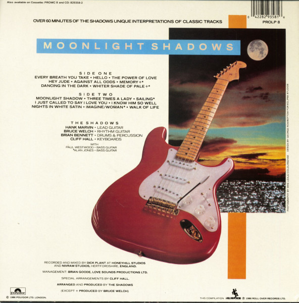Moonlight Shadows (LP)