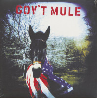 Vorschau: Gov't Mule (2-LP) Vorschau: Gov't Mule (2-LP)