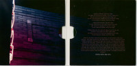 Vorschau: Nothing Shines Like Neon Vorschau: Nothing Shines Like Neon
