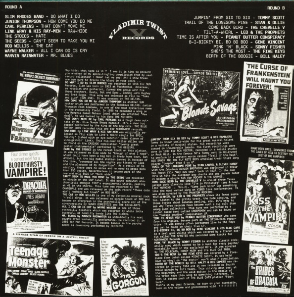 Like Nothing Your Ears Have Ever Heard Before Vol.11 (LP)