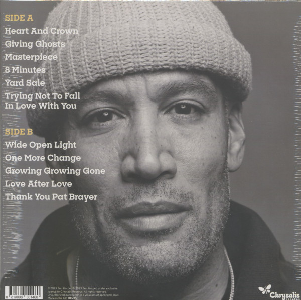 Wide Open Light (LP)