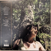 Vorschau: Fine Day (LP) Vorschau: Fine Day (LP)