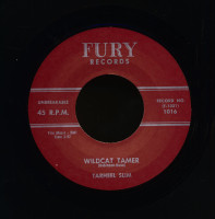 Vorschau: Wildcat Tamer - Number 9 Train (7inch, 45rpm) Vorschau: Wildcat Tamer - Number 9 Train (7inch, 45rpm)
