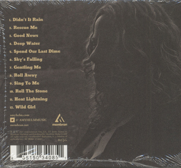Didn't it Rain (CD)