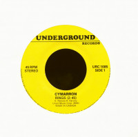 Vorschau: Rings - What The Hell I Got (7inch, 45rpm) Vorschau: Rings - What The Hell I Got (7inch, 45rpm)