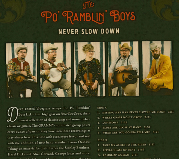 Never Slow Down (LP)