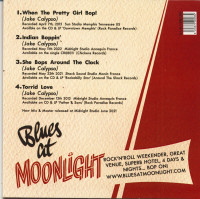 Vorschau: Blues At Moonlight (CD) Vorschau: Blues At Moonlight (CD)