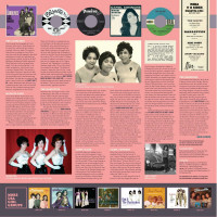 Vorschau: Look But Don't Touch - Girl Group Sounds USA 1962-1966 (LP) Vorschau: Look But Don't Touch - Girl Group Sounds USA 1962-1966 (LP)